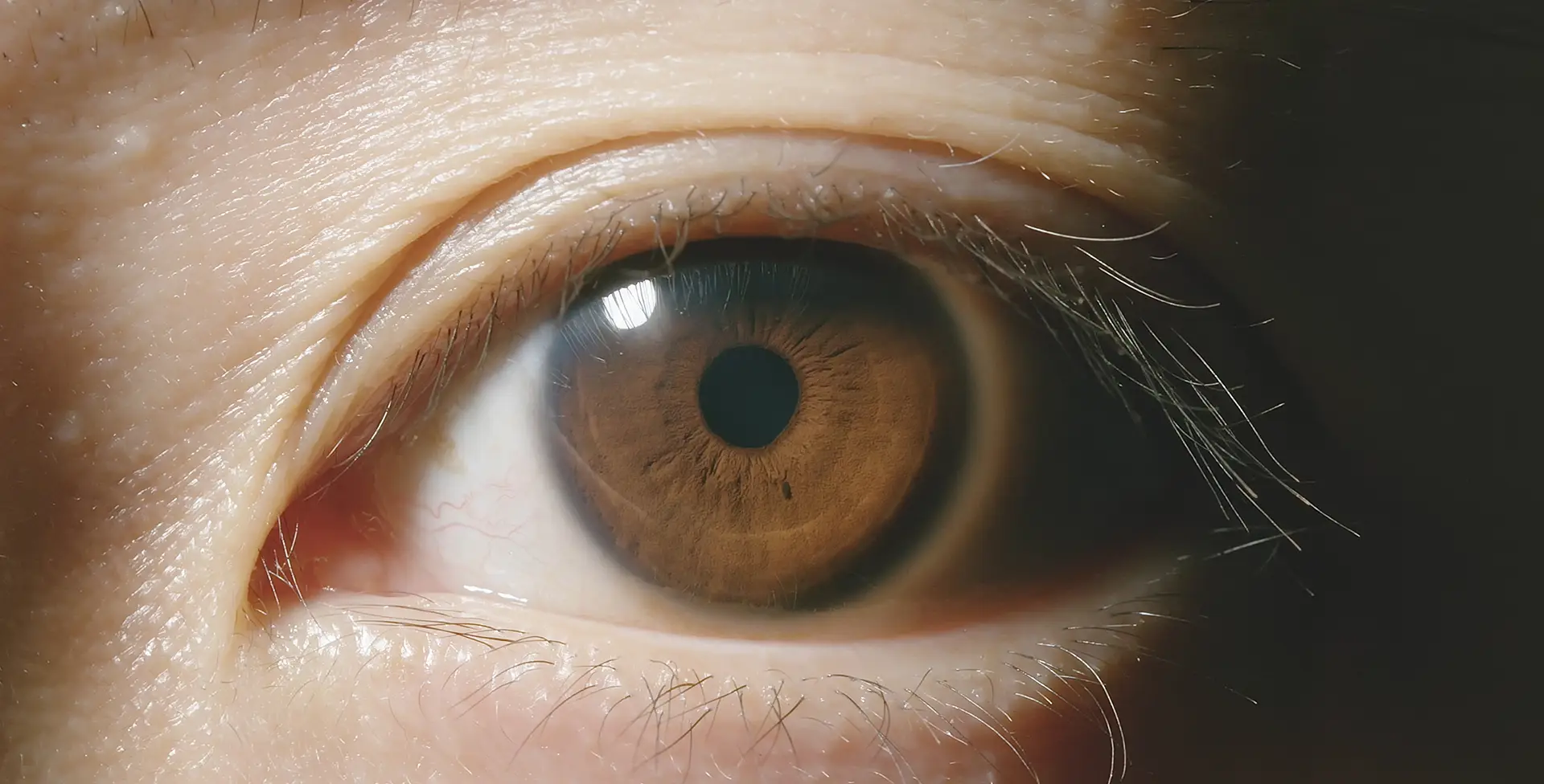 Close-up of human eye highlighting macular area for AMD awareness